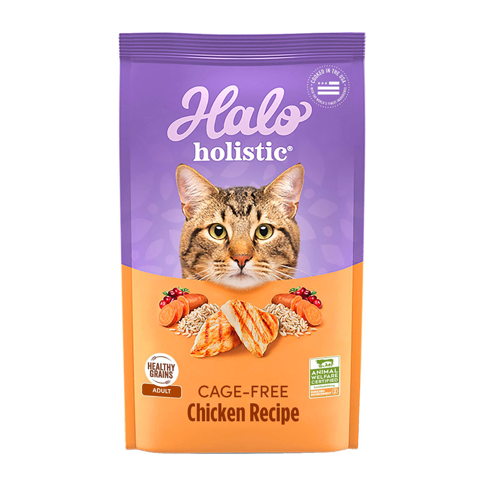 Halo Holistic Chicken bag front showing protein-packed formula for energy.