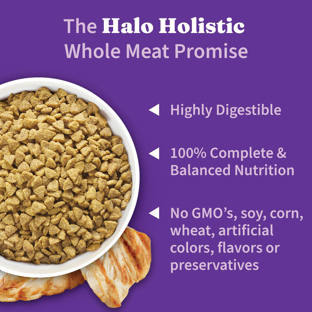 Halo Holistic Chicken bowl scene, cats enjoying a complete digestive health meal.