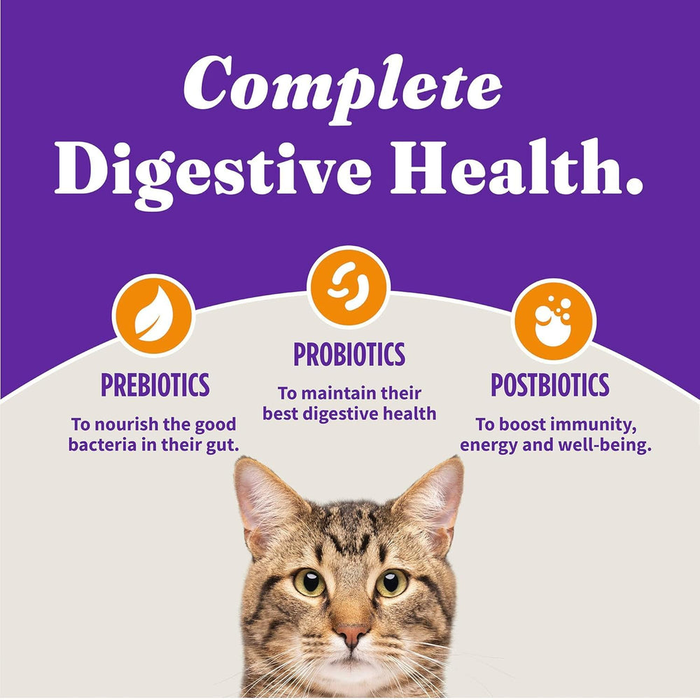 Halo Holistic Chicken kibble poured into dish, prebiotics and probiotics aiding digestion.