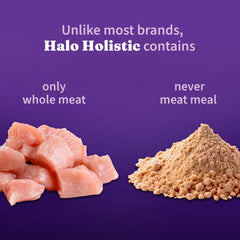Halo Holistic fruits-vegetables-non-gmo-inside-view highlights wholesome additions.