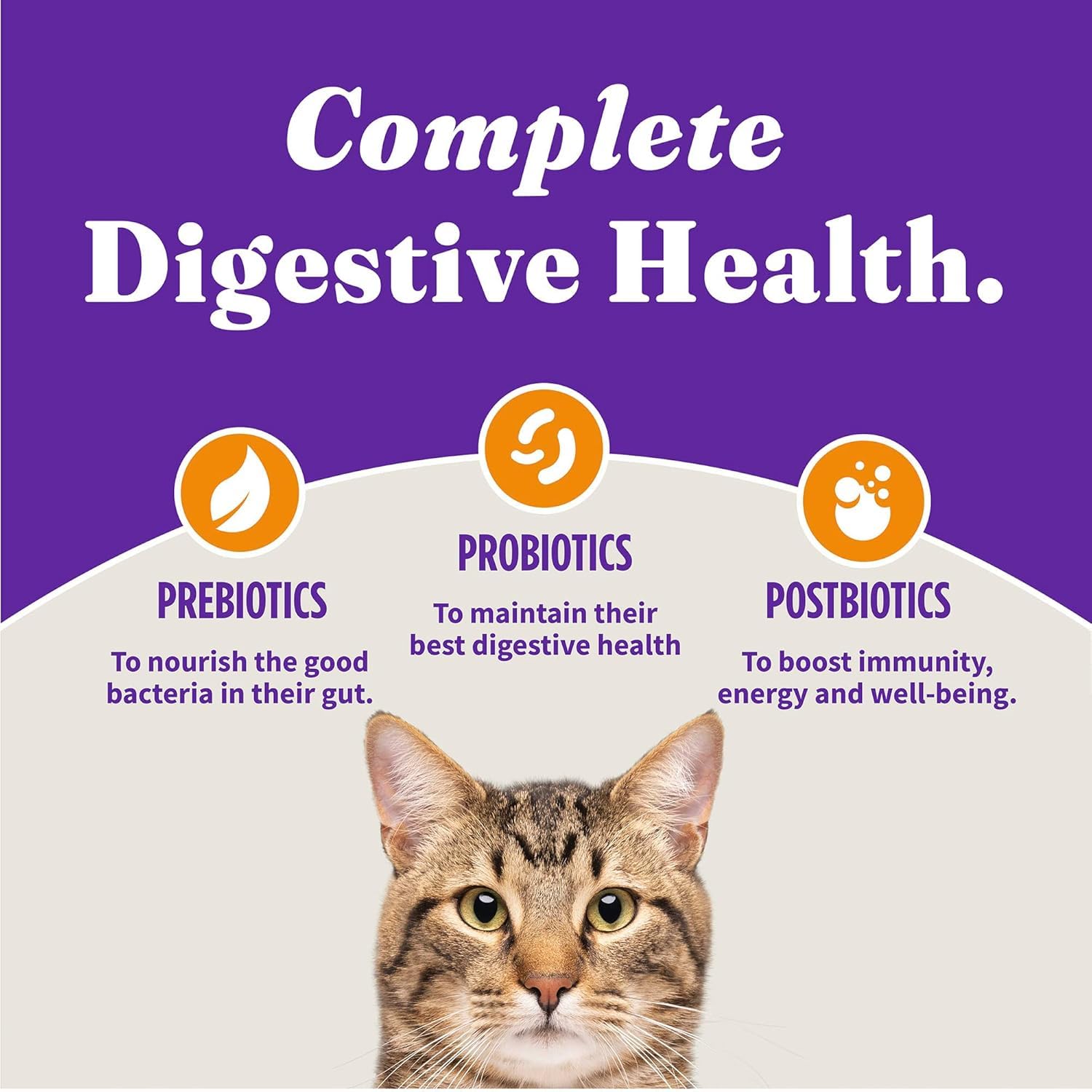 Halo Holistic skin-coat-omega-fatty-acids image suggests shiny fur and healthy skin.