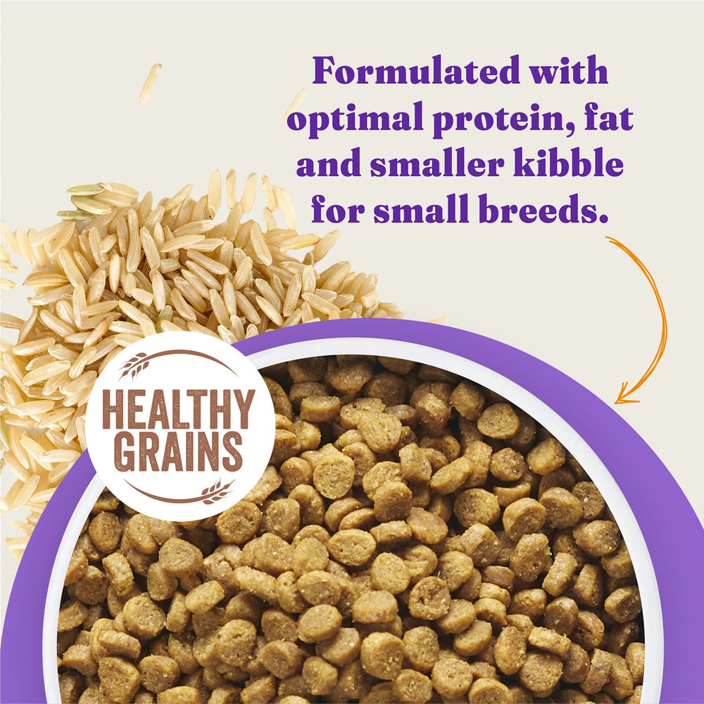 Halo Holistic small-breed brown rice recipe emphasizes digestible grains for steady energy.
