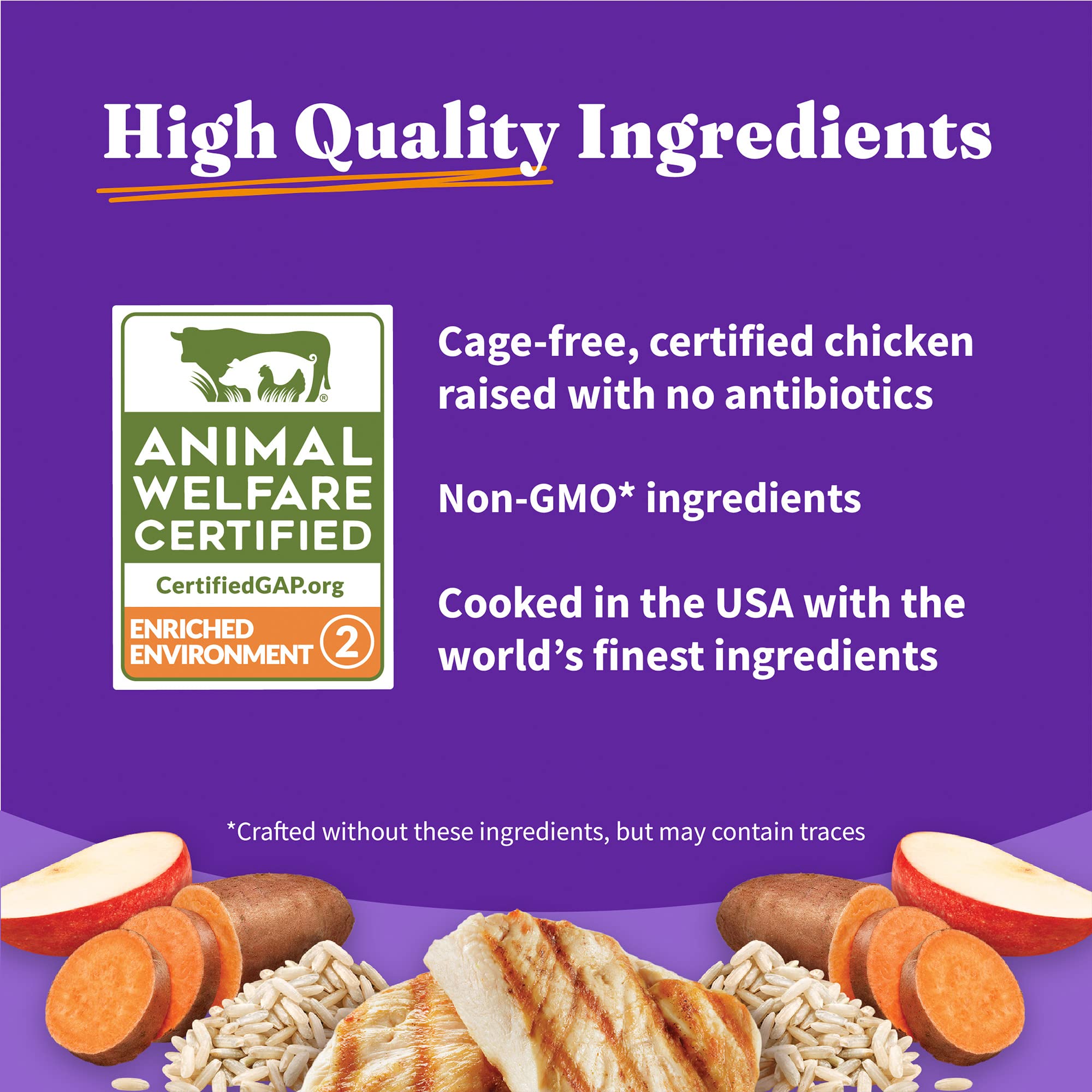 Halo Holistic small-breed postbiotics support immune health and gut balance.
