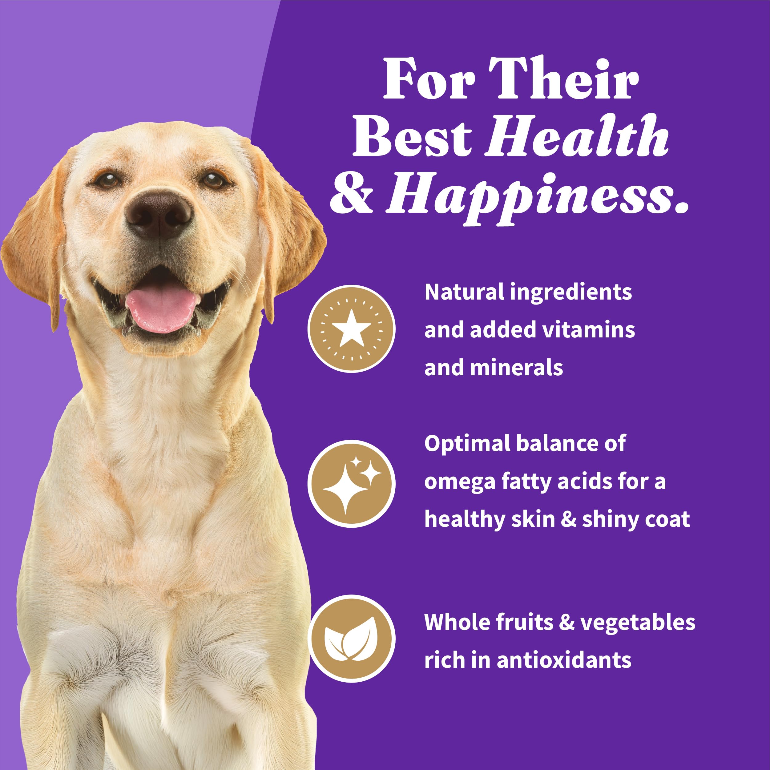 Halo Holistic Vegan Dog Food 3.5-lb bag on shelf