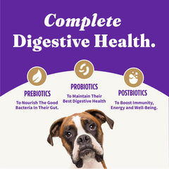 Halo Holistic Vegan Dog Food served in a bowl for easy feeding
