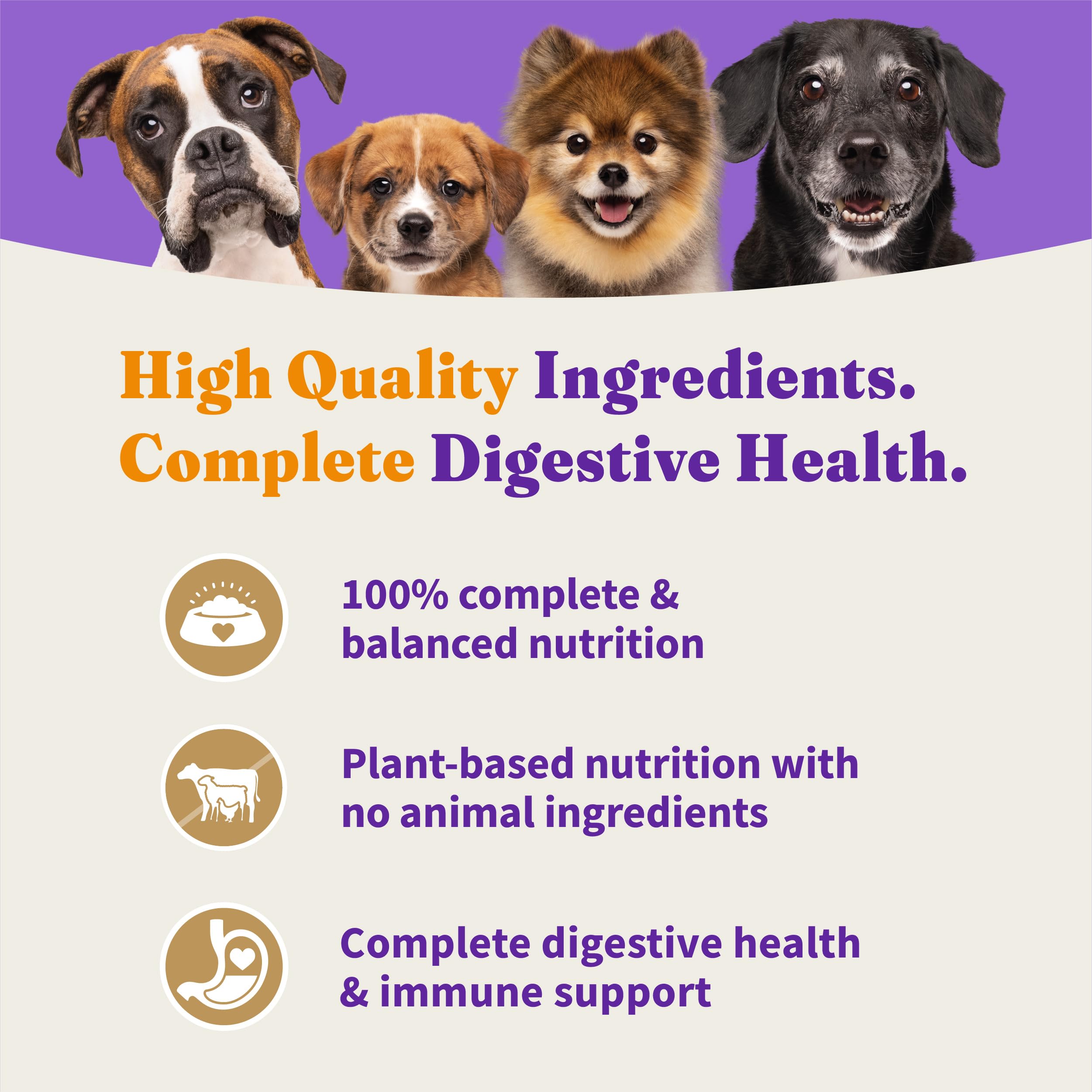 Halo Holistic Vegan Dog Food closeup of kibble texture and natural ingredients for balanced nutrition