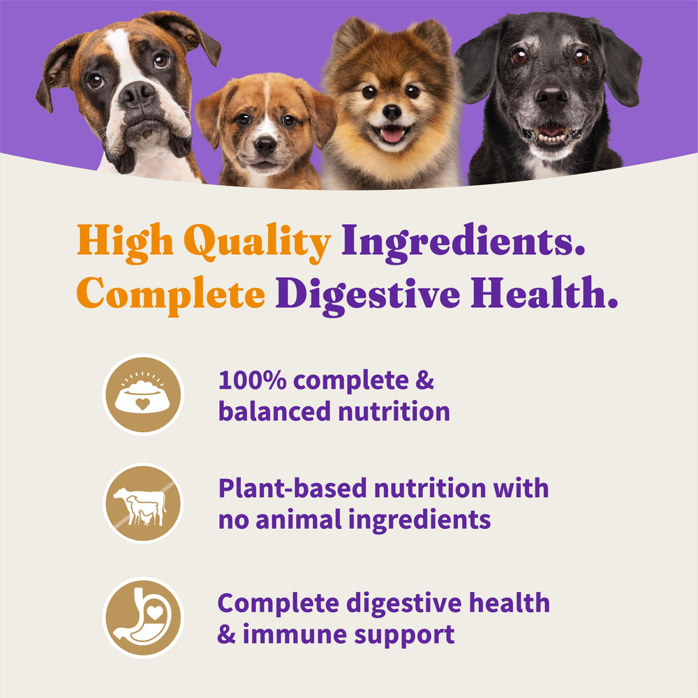 Halo Holistic Vegan Dog Food closeup of kibble texture and natural ingredients for balanced nutrition