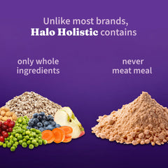 Close-up of Halo Holistic kibble texture highlighting plant-based ingredients.