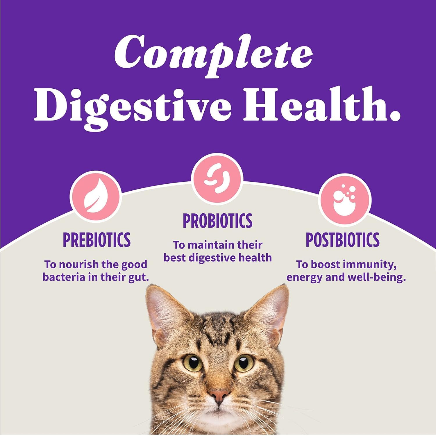 Halo Holistic no meat meals or artificial fillers in the recipe