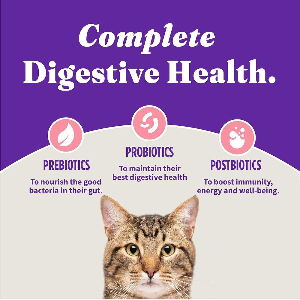 Halo Holistic no meat meals or artificial fillers in the recipe
