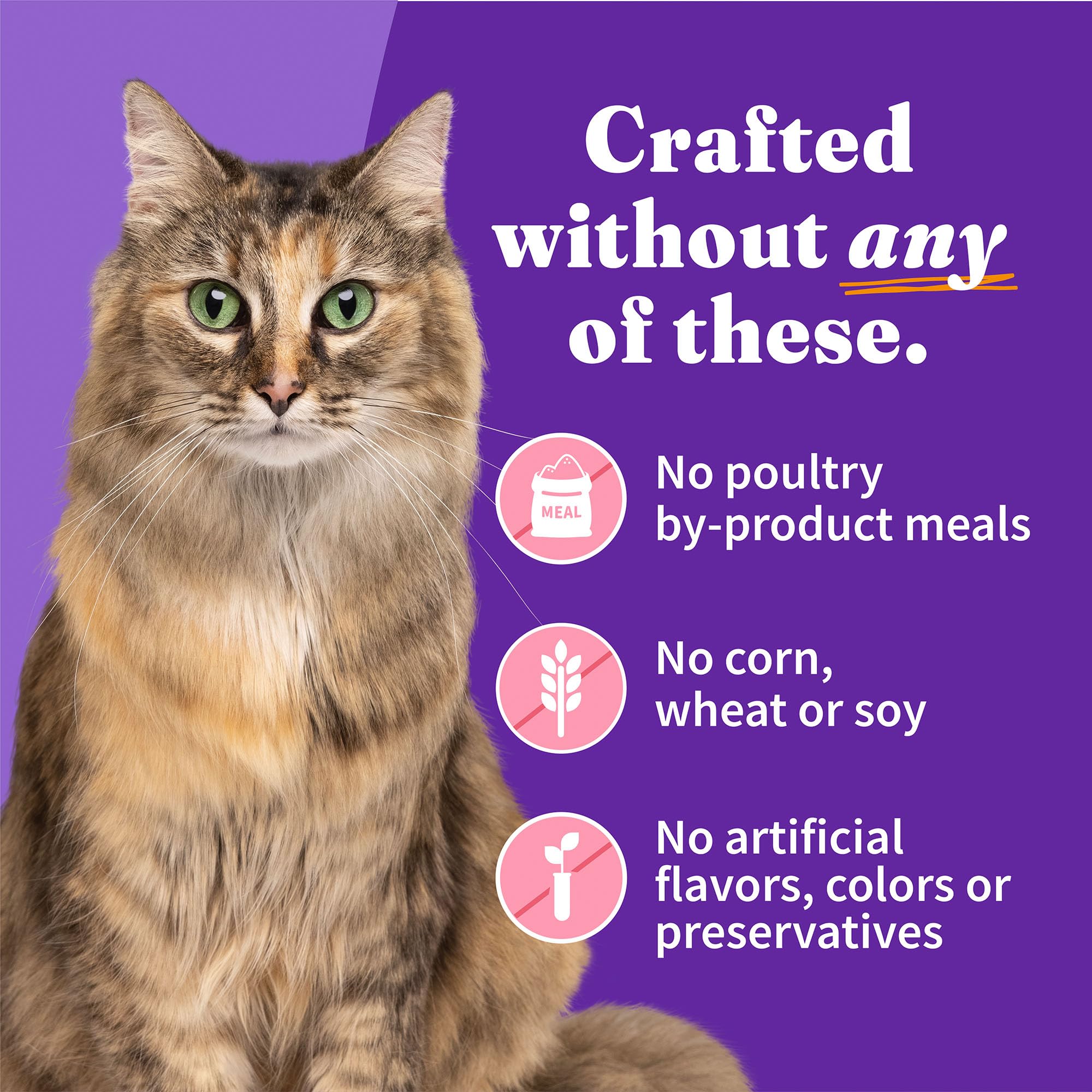 Halo hydration-forward wet cat food visual highlights moist texture for picky eaters.