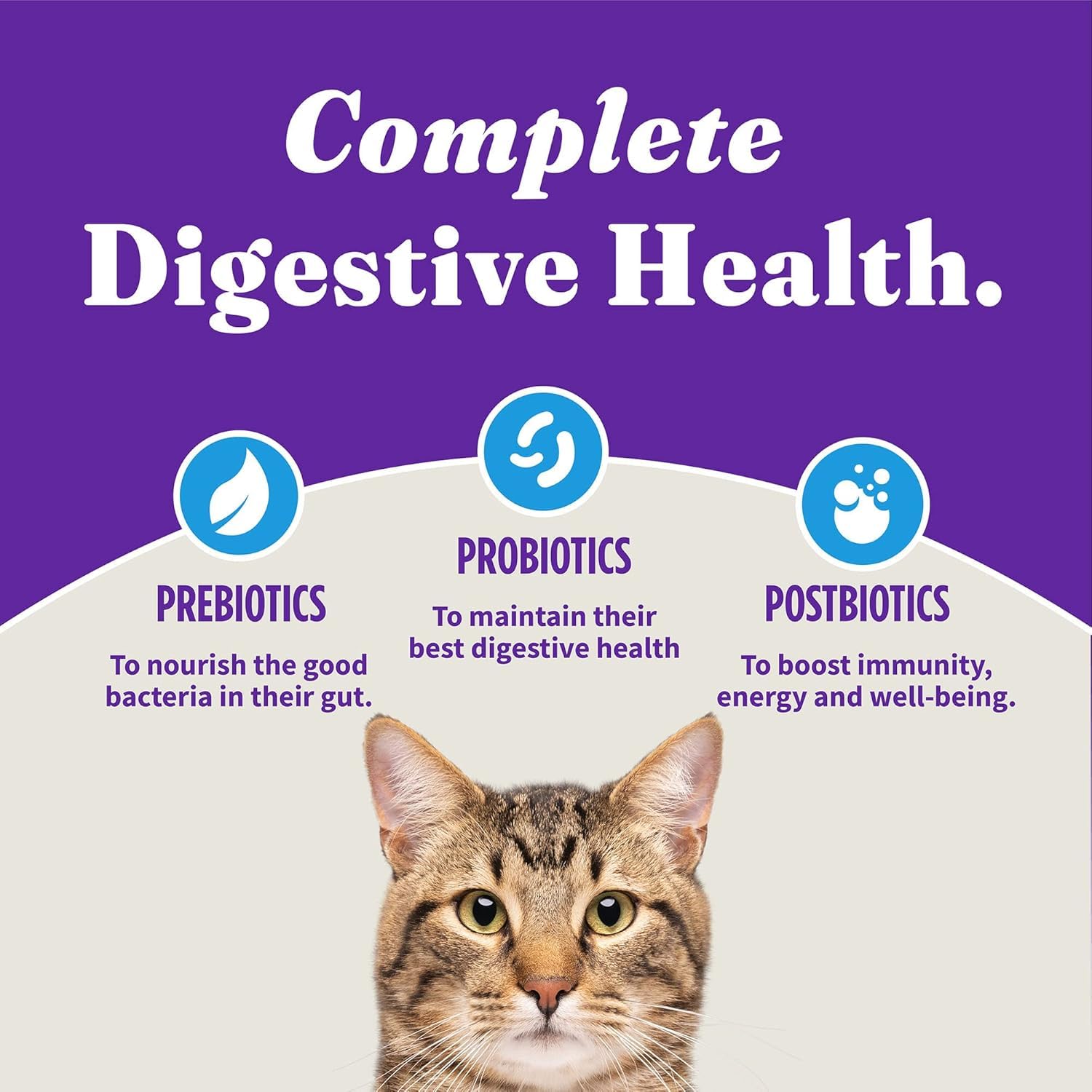 Halo USA-made dry cat food with high-quality ingredients