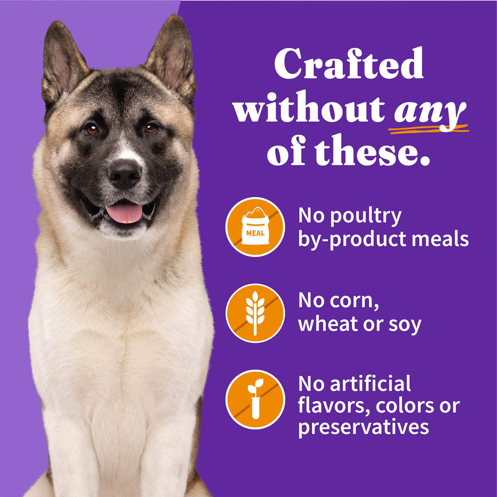 Halo Senior wet dog food as meal topper with kibble for added moisture