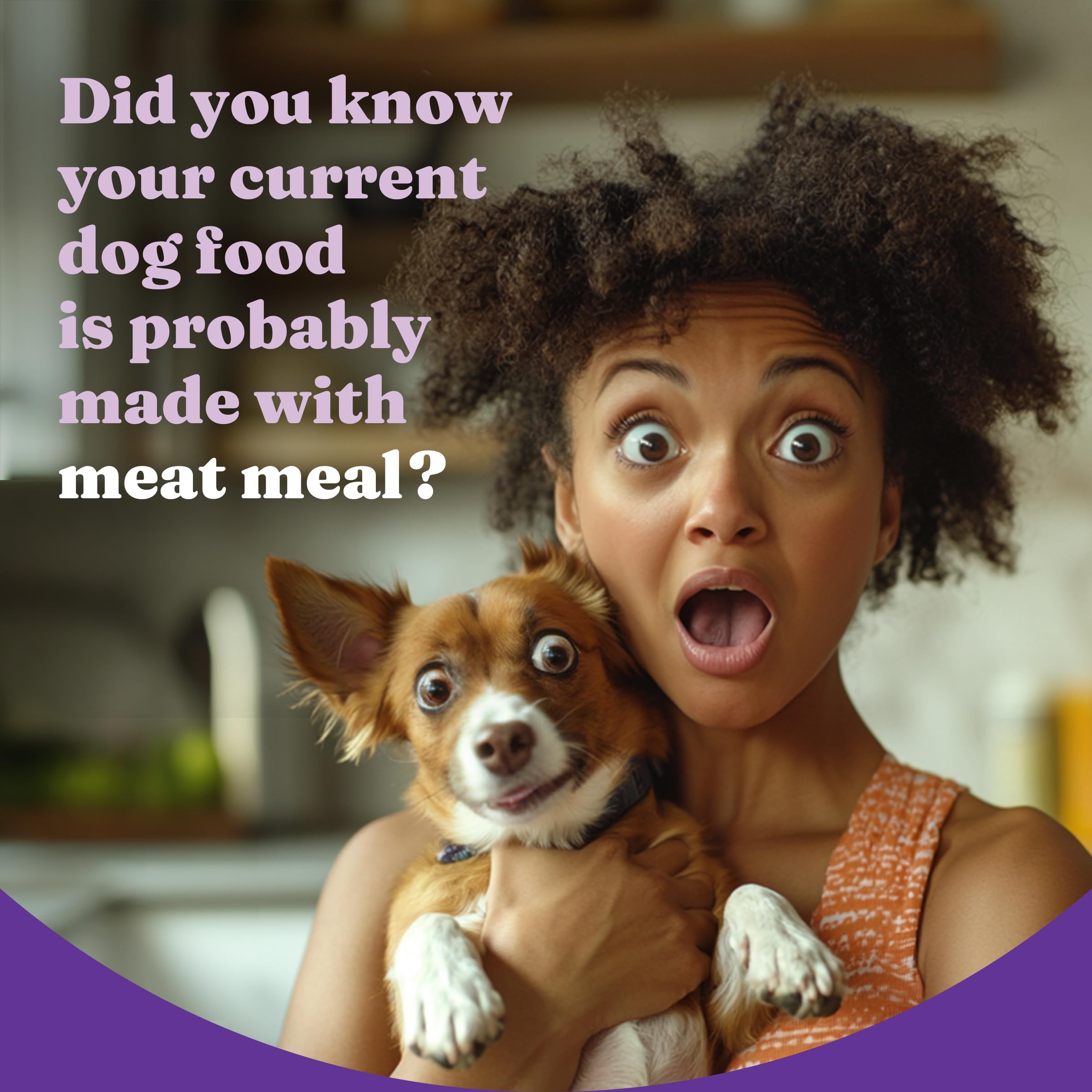 Halo plant-based recipe ingredients with blueberries and cranberries highlighting added nutrients for dogs.