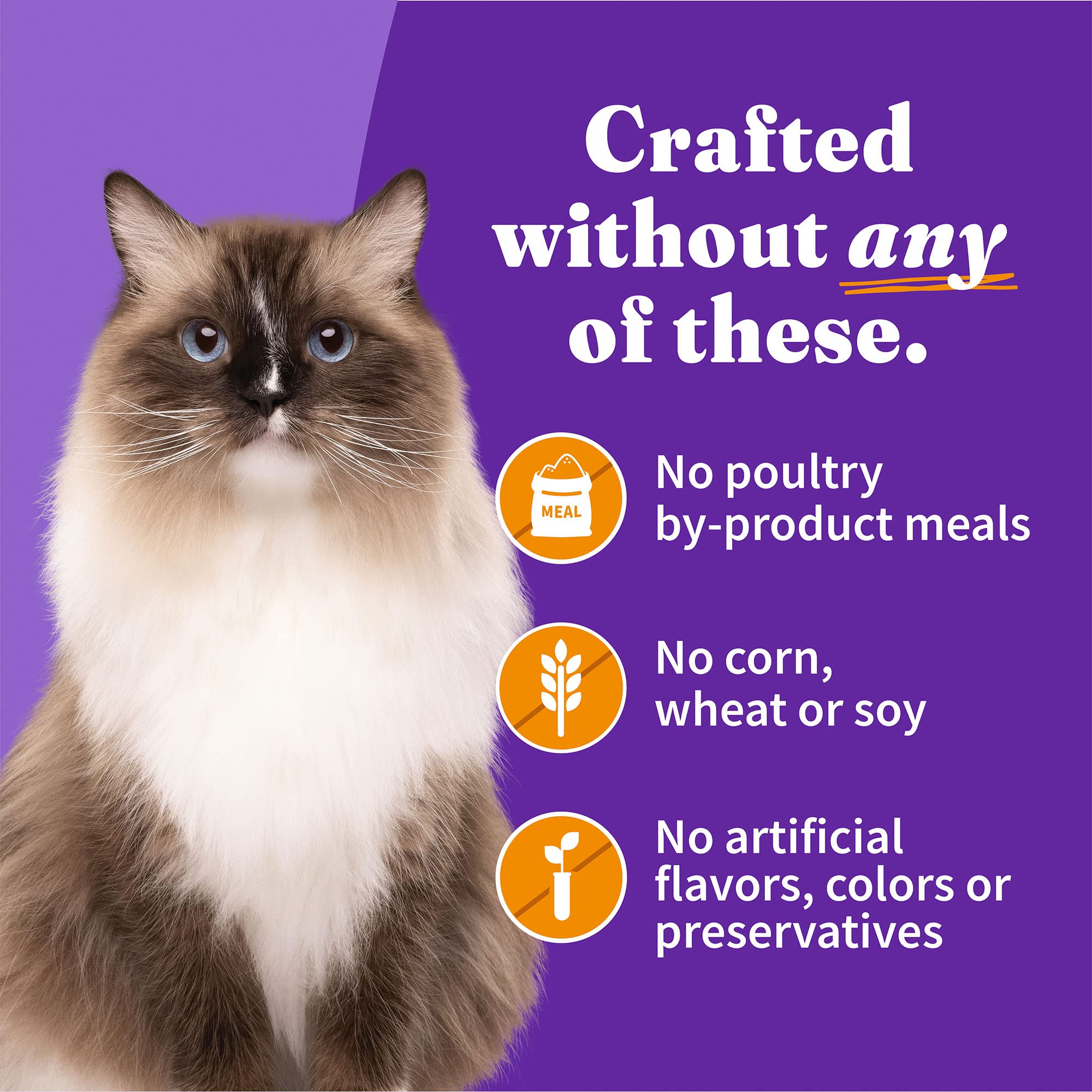 Halo pate serving as a complete meal or kibble topper