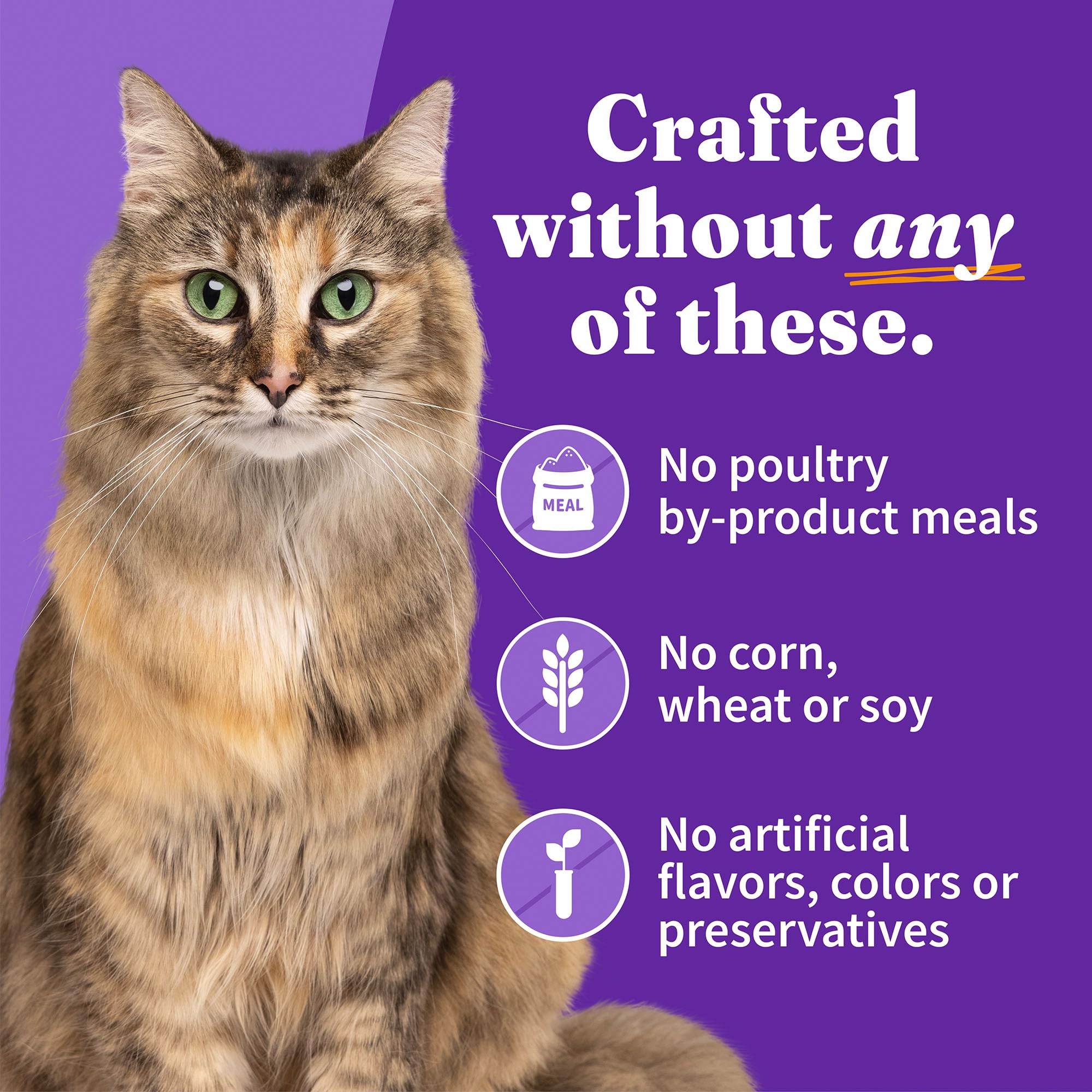 Halo wet cat food pate soft texture closeup: smooth paté ideal as meal or topper