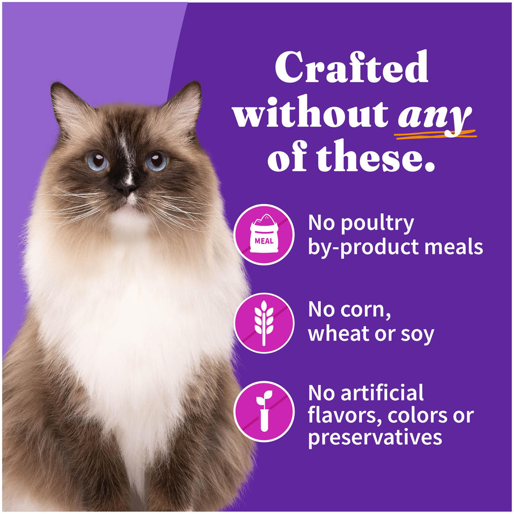 Halo indoor cat recipe with whole meat chunks and veggie bits.