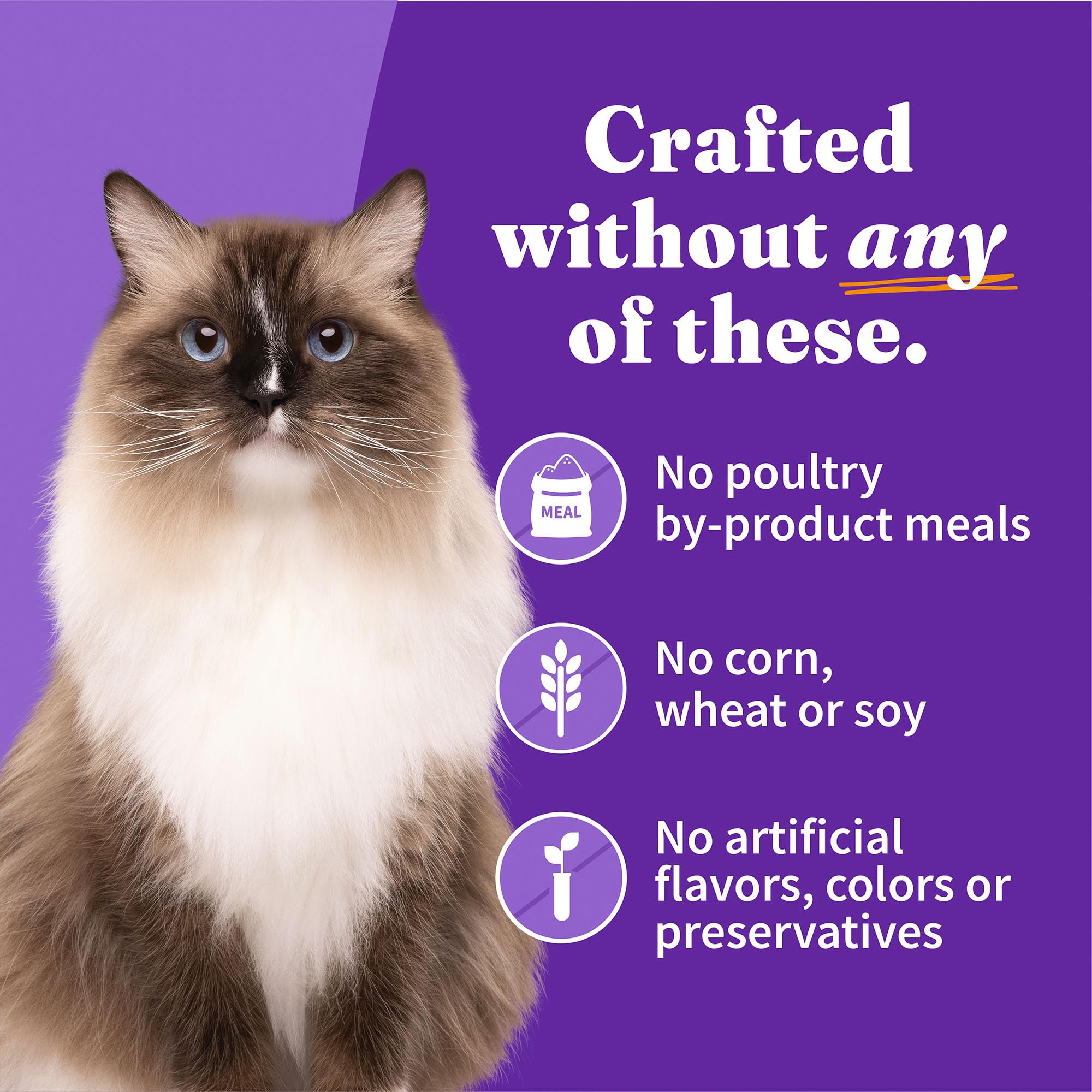 Halo wet cat food variety pack served in bowl suggests easy mealtime rotation