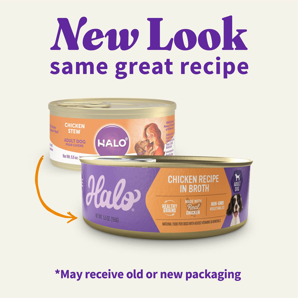 Halo wet dog food chicken recipe in broth closeup – soft texture dogs enjoy.