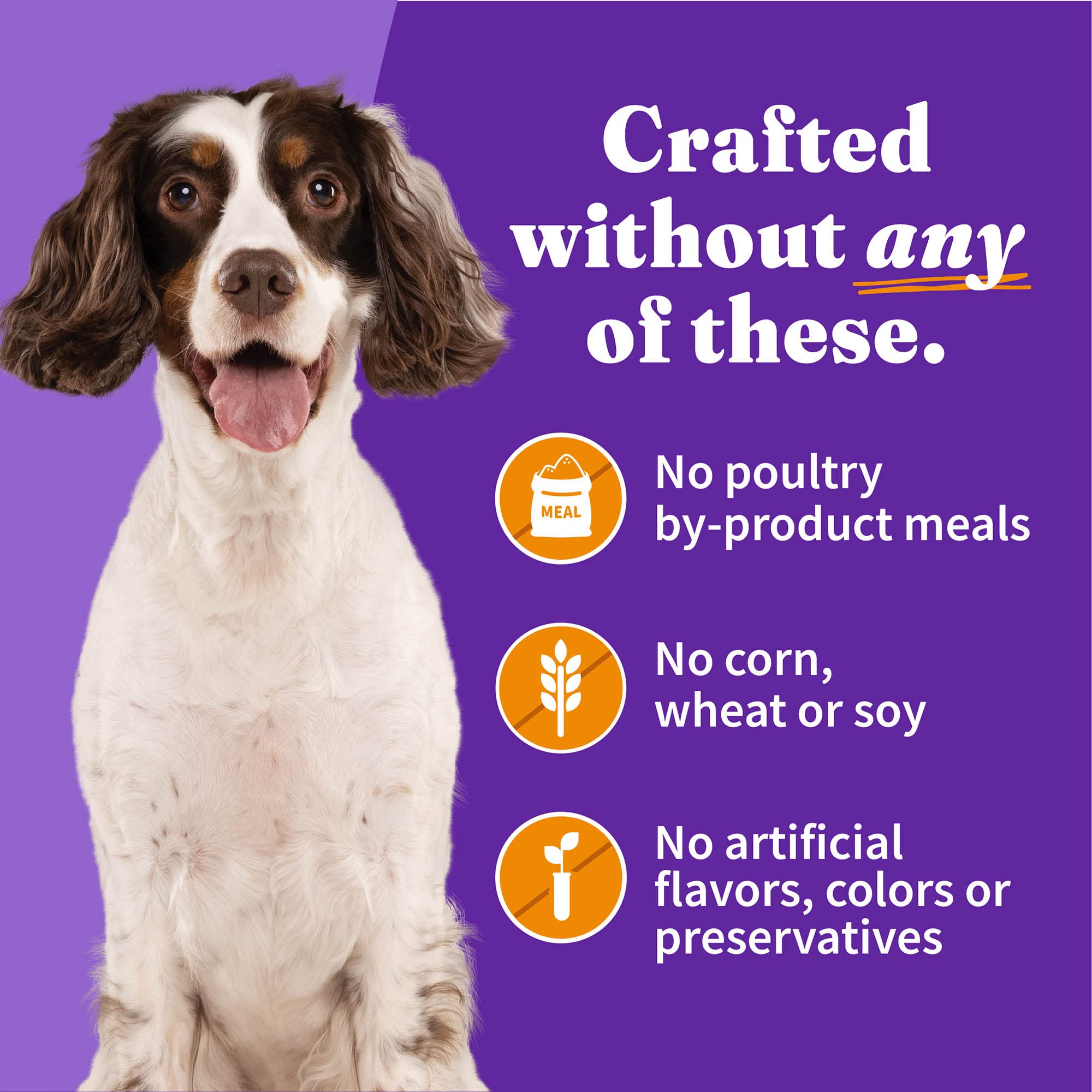 Halo wet dog food meal or topper idea – mix with kibble.
