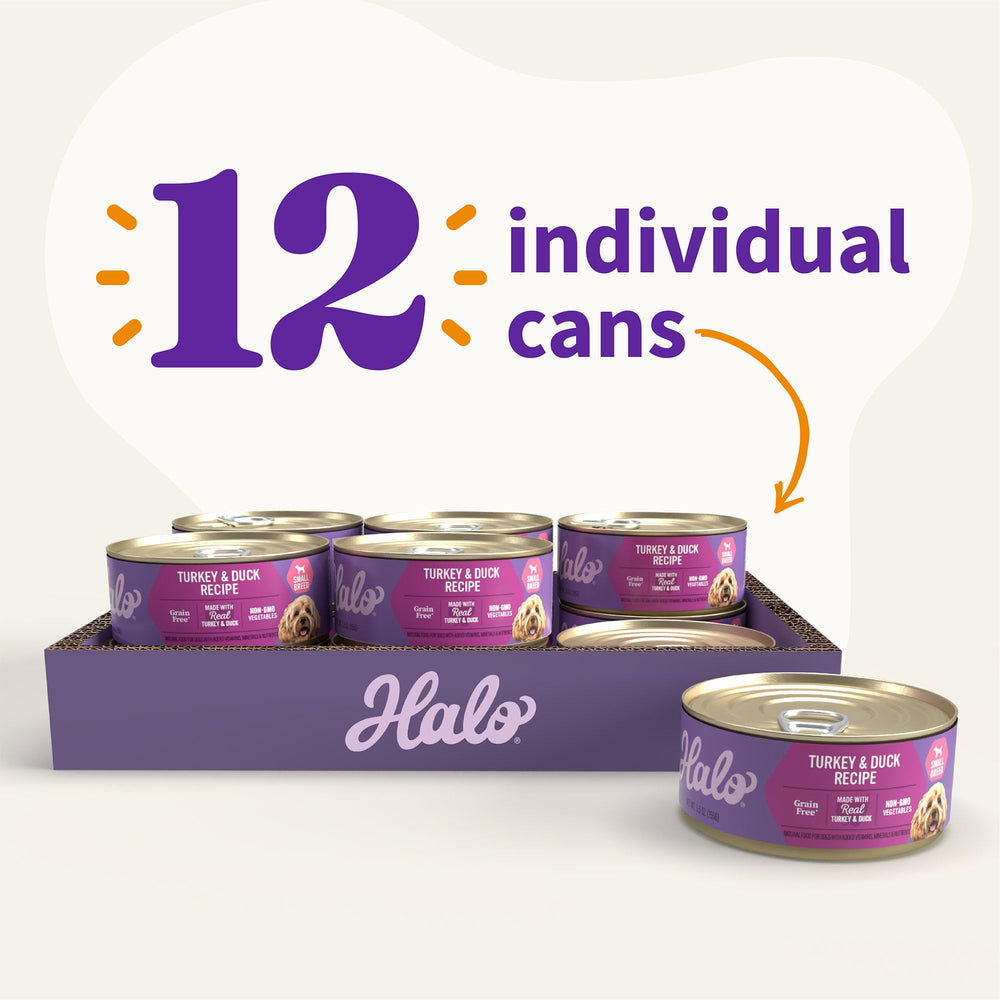 Halo small-breed happy dog during mealtime enjoying Halo wet food
