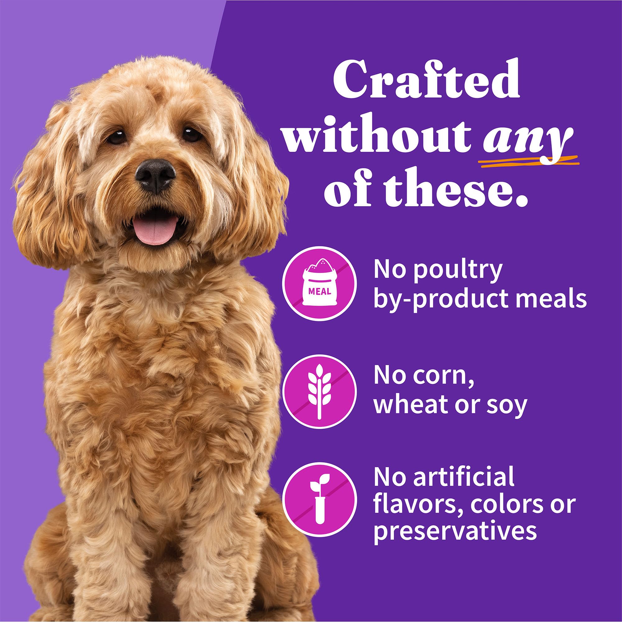 Halo small-breed wet food texture close-up emphasizing smooth, hydrated pieces