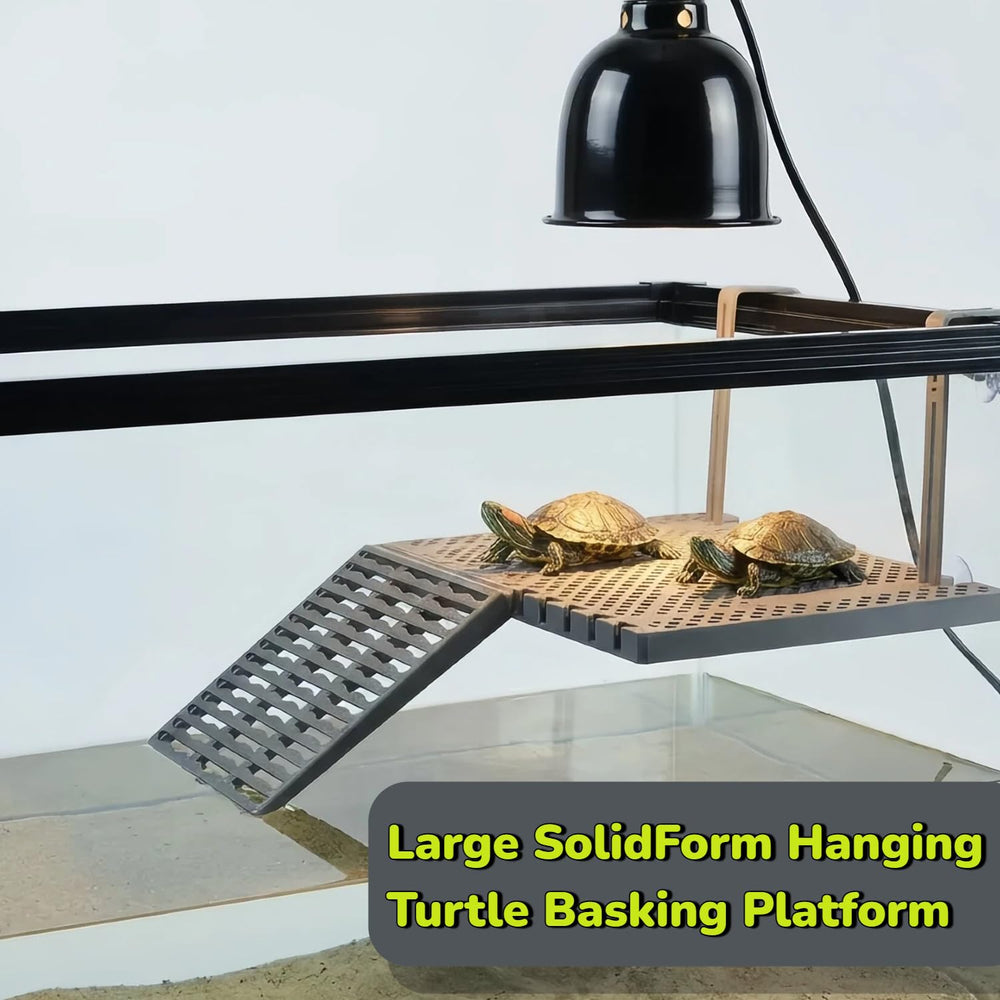 Halomyyth built-in feeding tray keeps meals on the platform, reducing water mess.