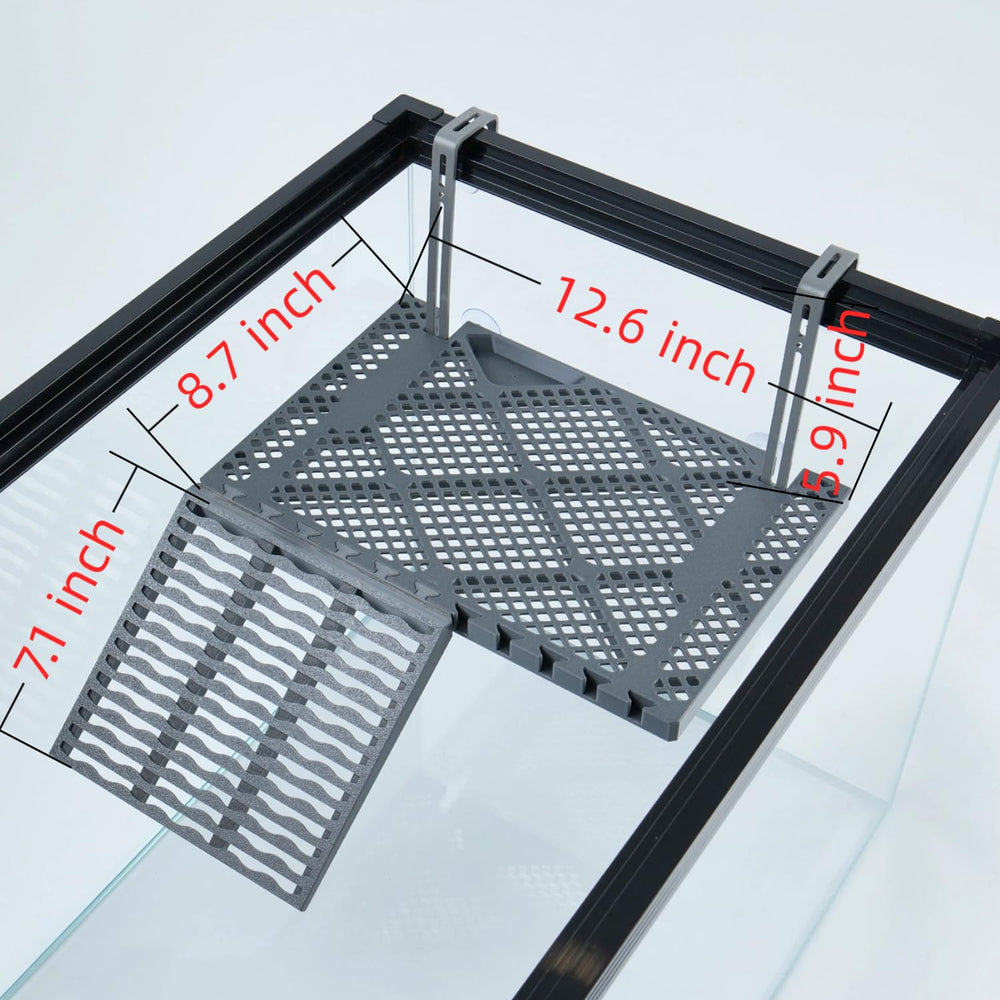 Halomyyth smooth finish and rounded edges simplify maintenance and keep turtles safe.
