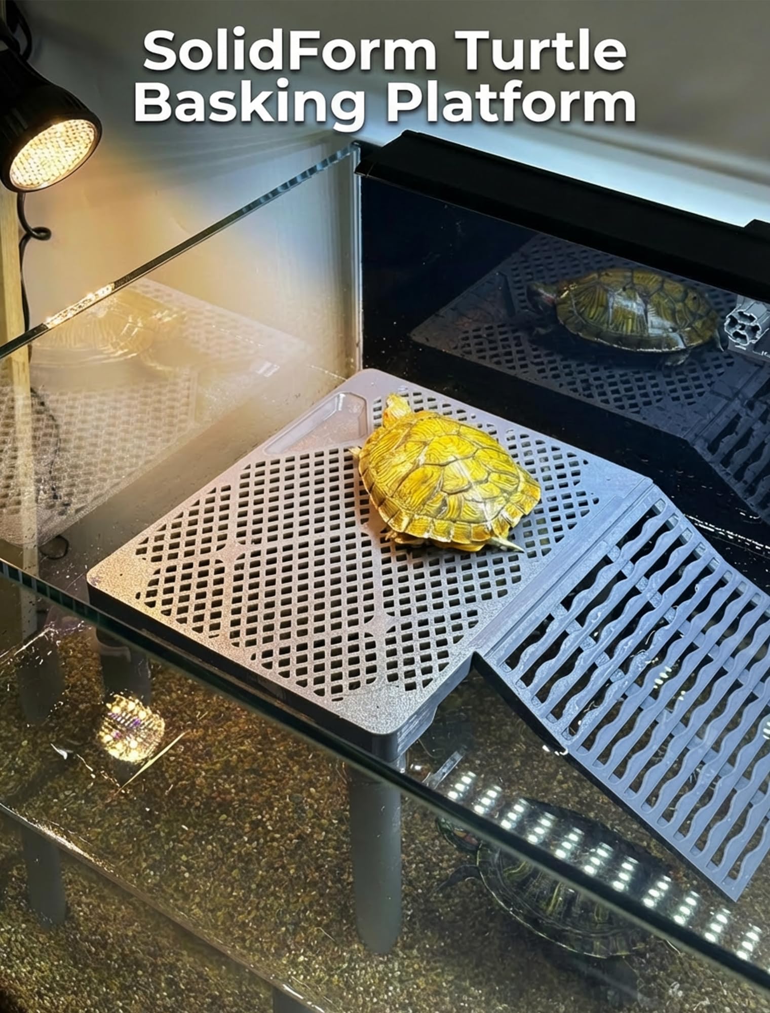 Halomyyth SolidForm built-in feeding tray keeps meals above water for cleaner tanks.