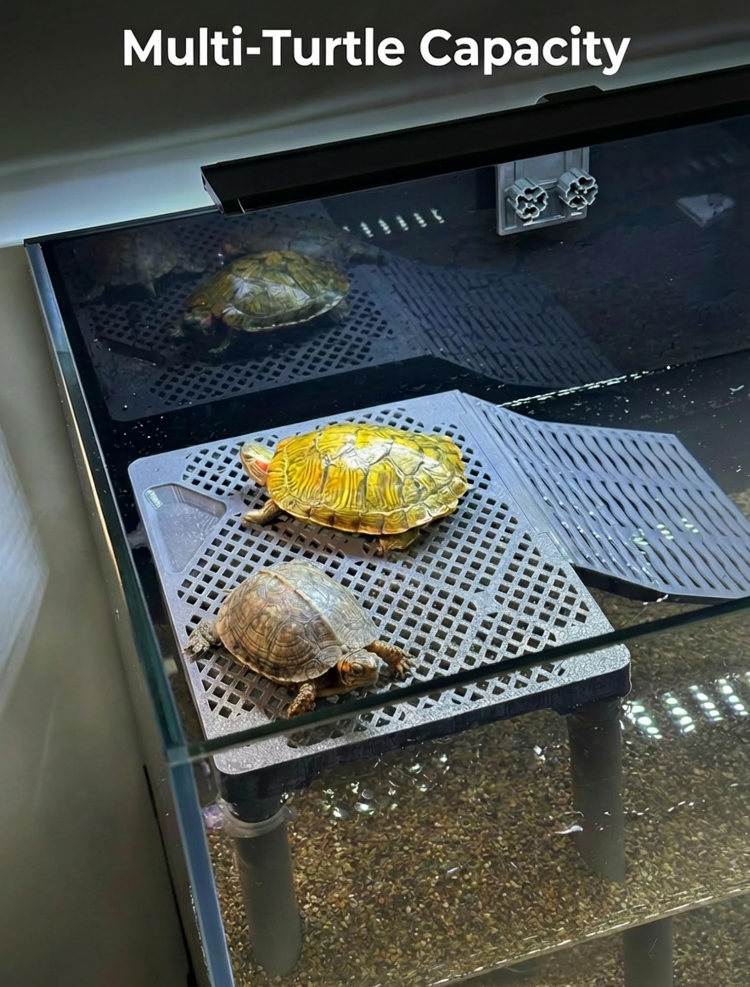 Halomyyth SolidForm compatible with 25–75 gallon tanks.