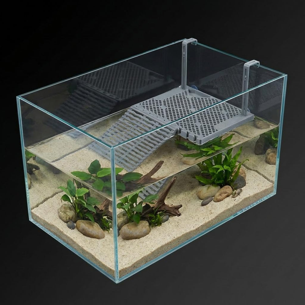 Halomyyth SolidForm friendly setup supports comfortable turtle basking.