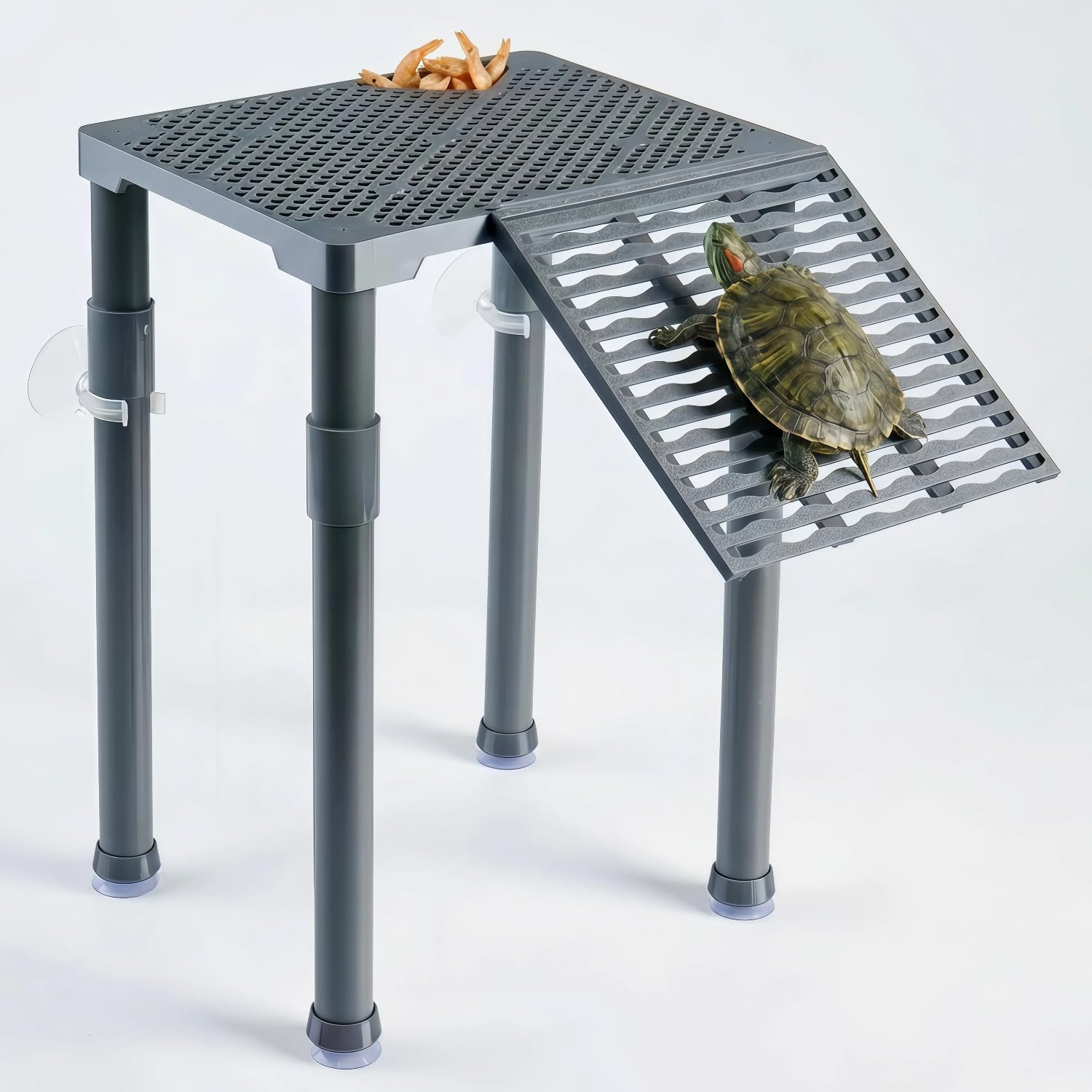 Halomyyth SolidForm turtle basking platform with ramp for easy sunning.