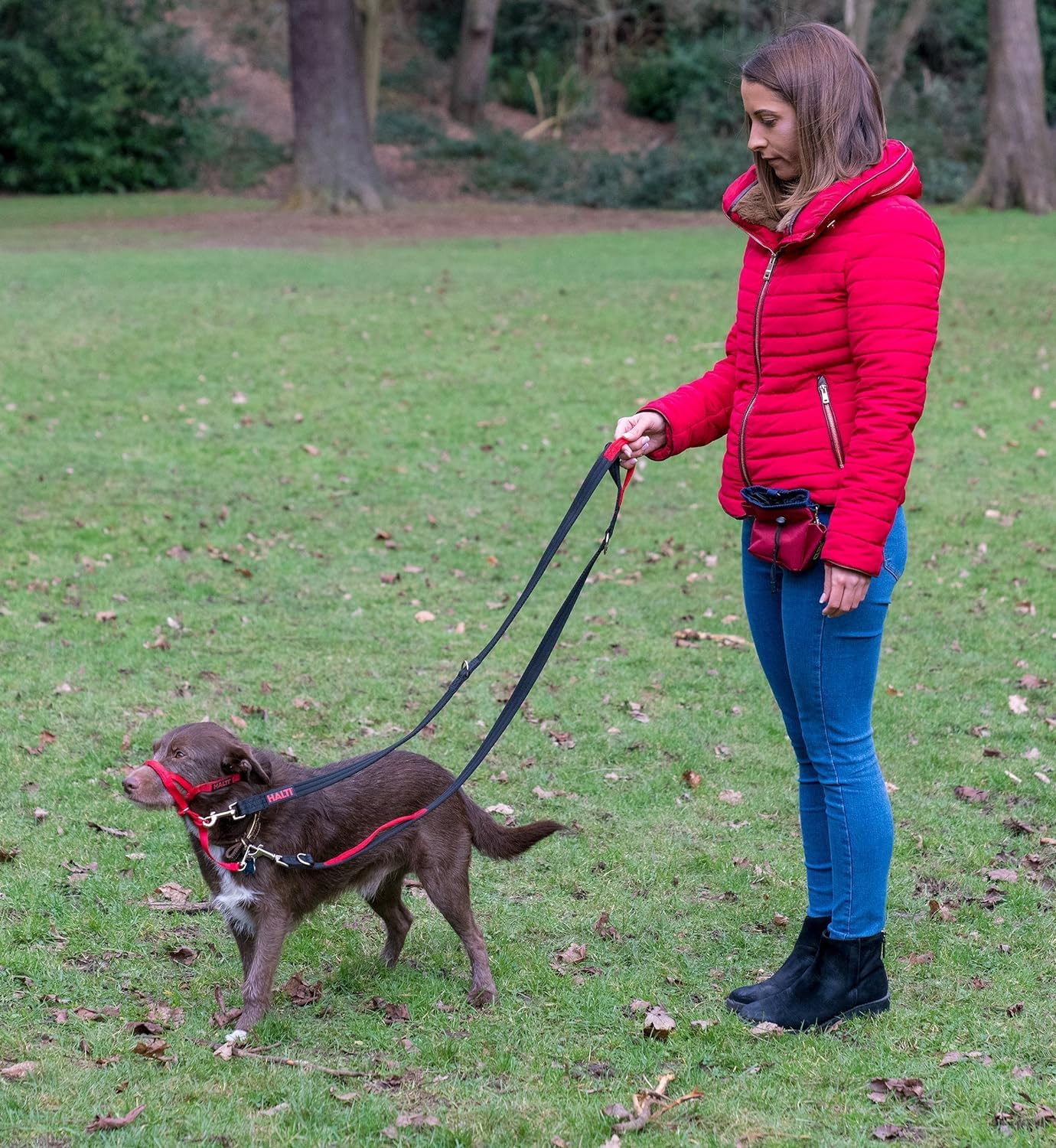 Halti Control Leash anti-pull training potential when paired with a headcollar.