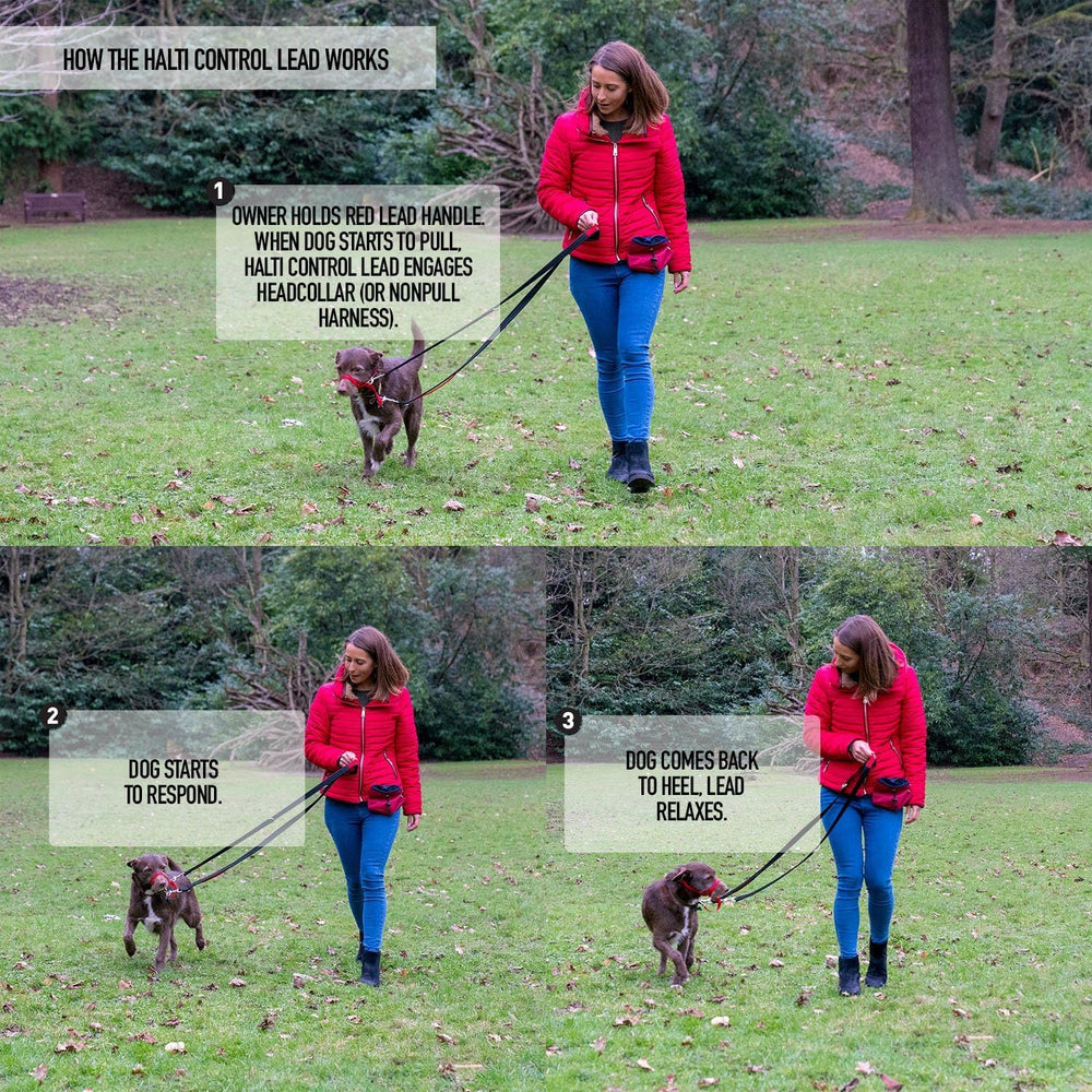 Halti Control Leash in black, 2m length, ideal for daily walks.