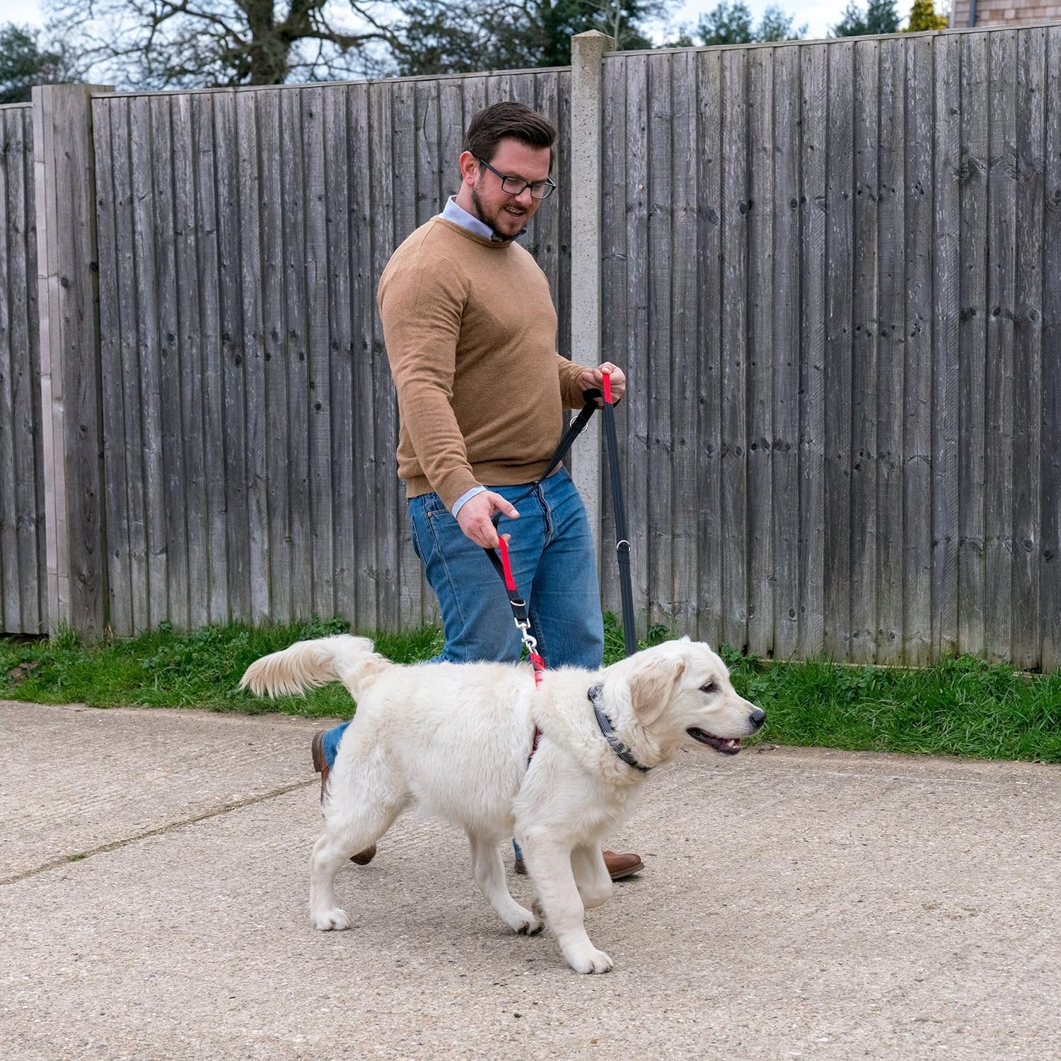 Halti Control Leash lightweight, durable webbing for daily use in any weather.