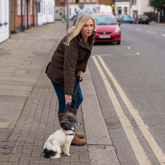 Halti Control Leash trigger clips providing dual connection points for flexibility.