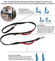 Halti Control Leash two handles for close control during training.