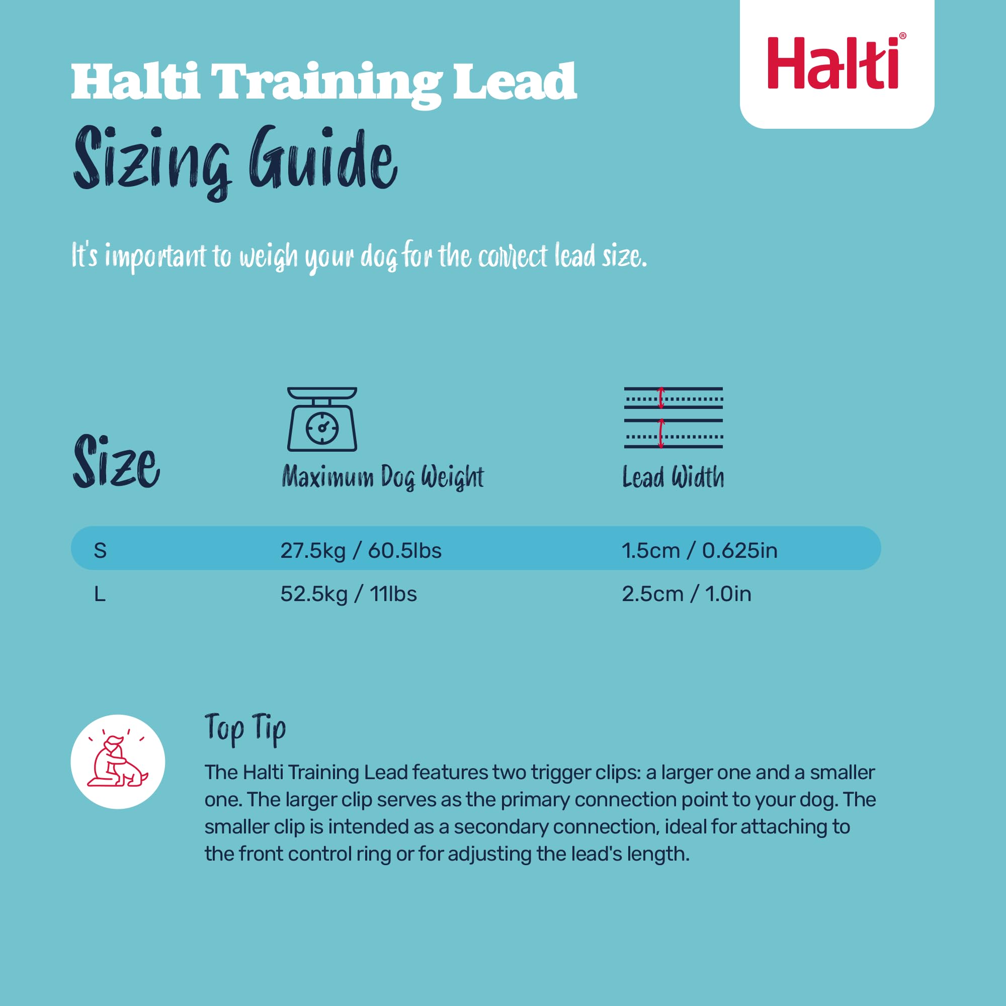 Halti training set in use for safer, controlled daily walks.