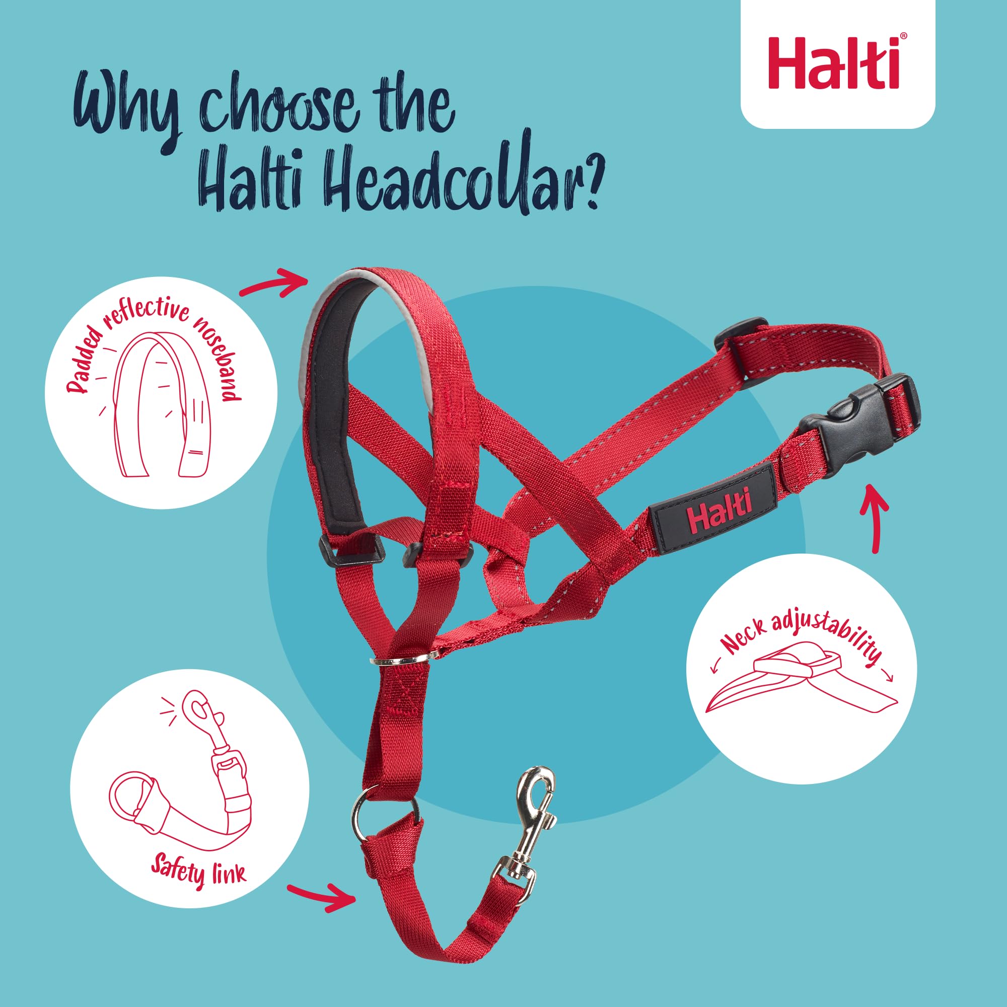 Halti Headcollar with adjustable fit for medium dogs.