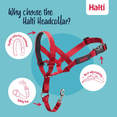 Halti Headcollar with adjustable fit for medium dogs.