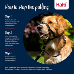 Halti headcollar adjustable fit on a medium dog, Size 2, Burnt Orange