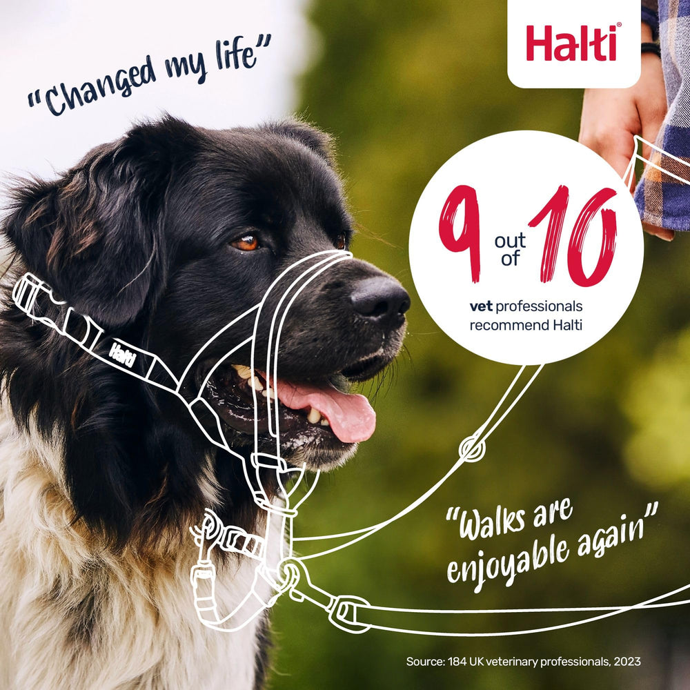Halti Headcollar uses lightweight nylon for comfort.