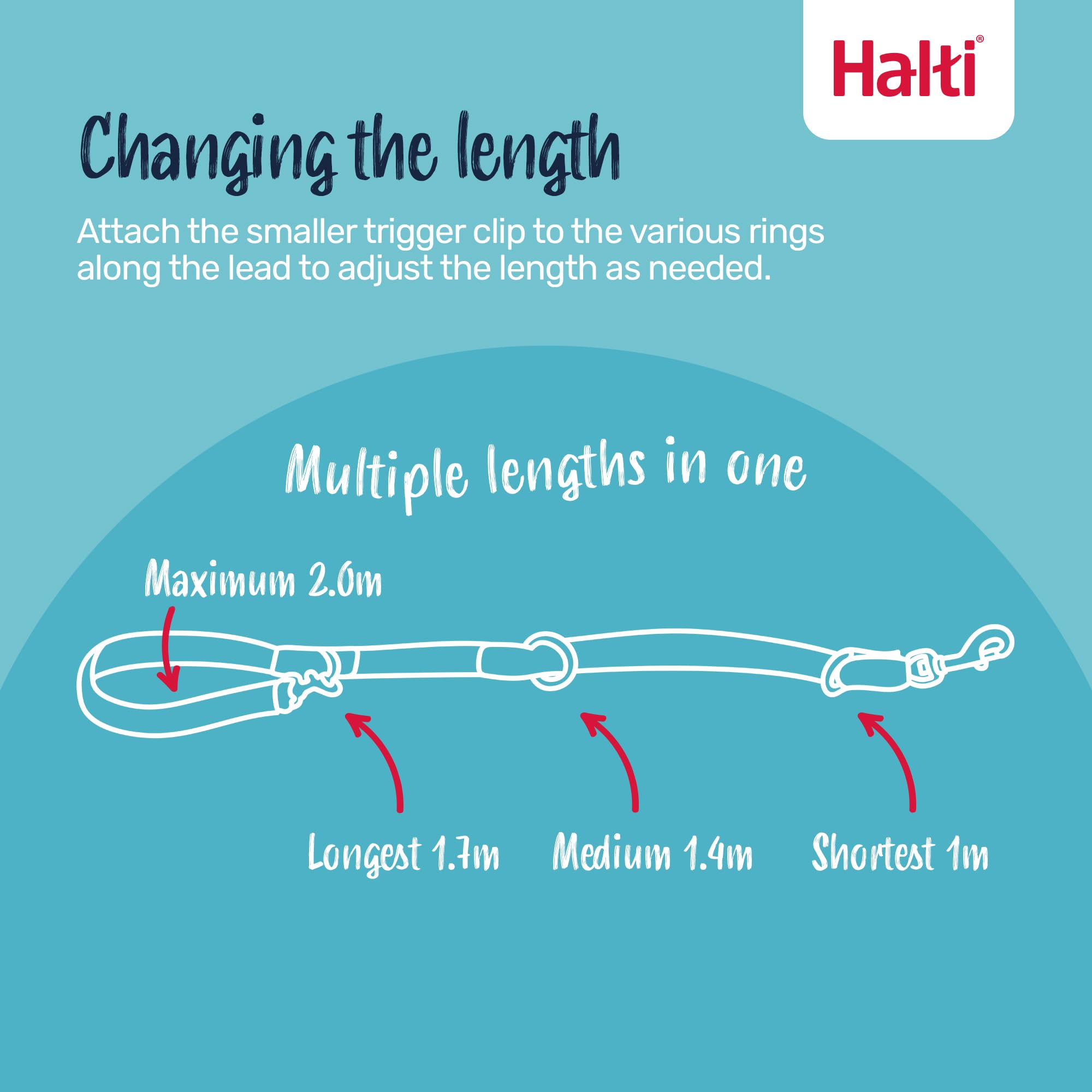 Halti headcollar padded nose band for comfortable, pant-friendly leash training.