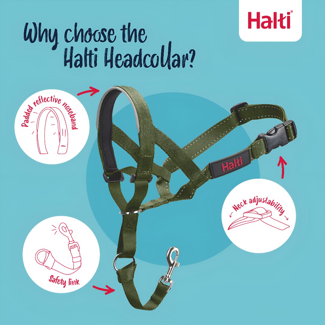 Halti Headcollar padded nose band provides comfort during longer walks.