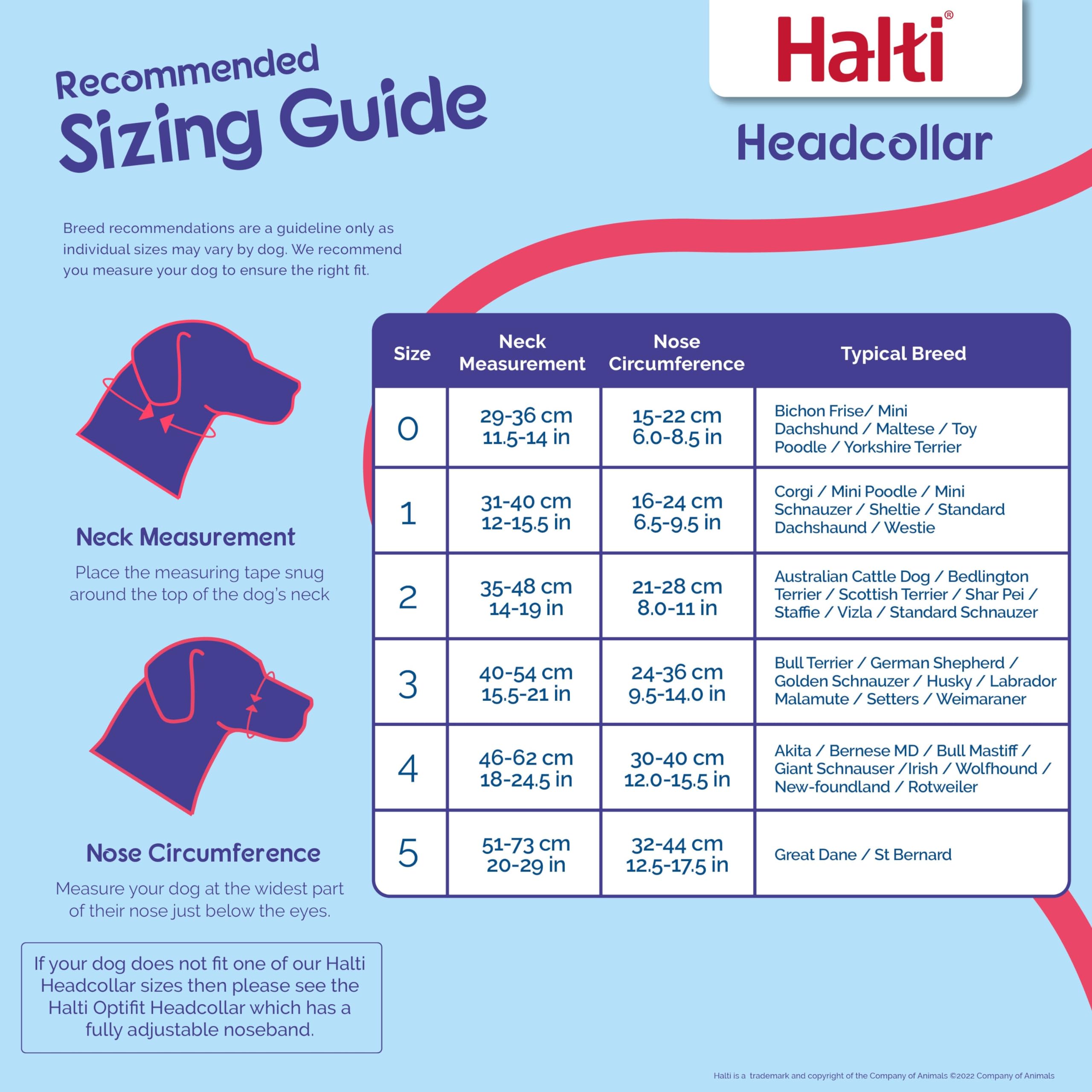 Halti Headcollar reflective accents for safer night walks.