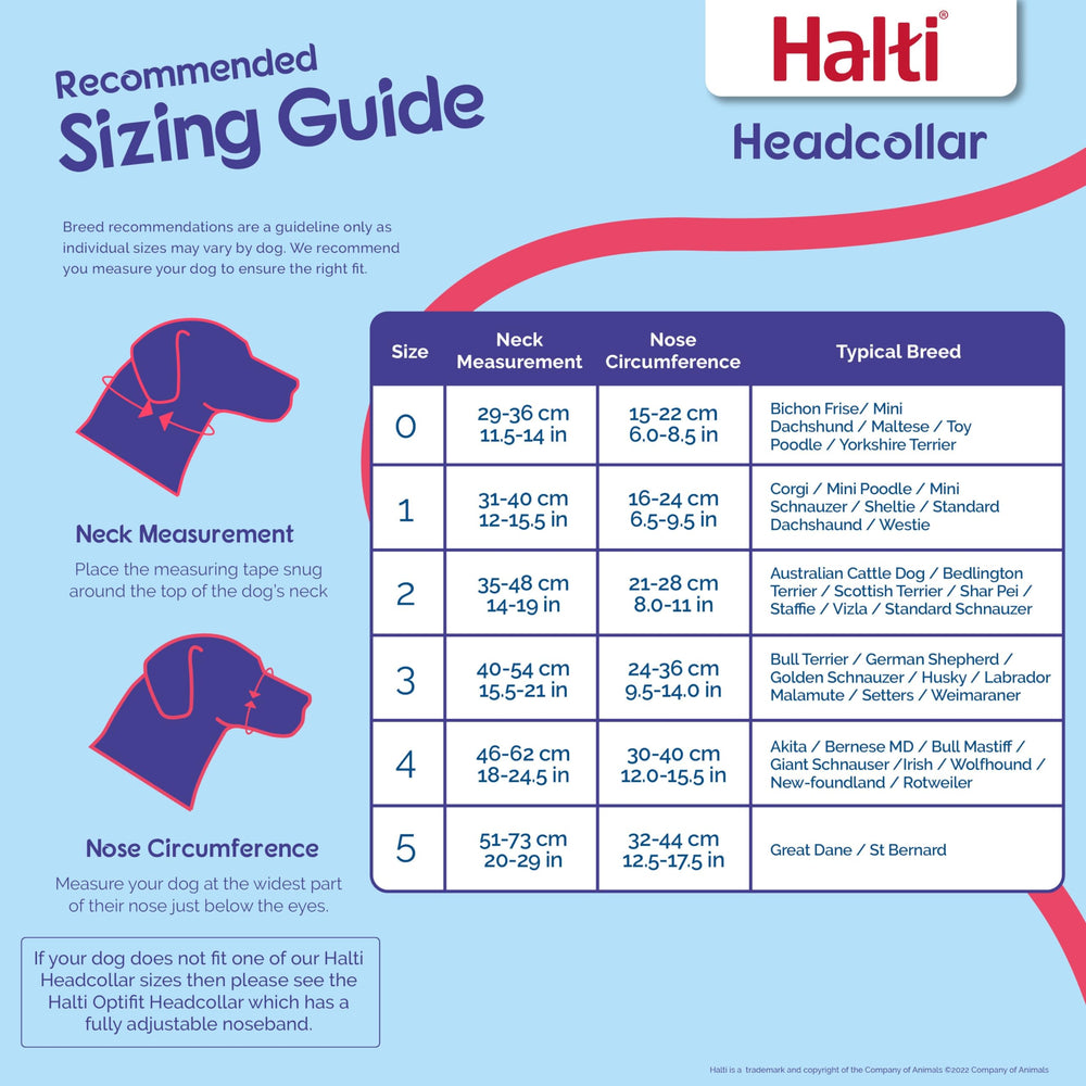 Halti Headcollar reflective accents for safer night walks.