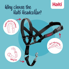 Reflective accents on Halti Headcollar boost visibility for safer evening outings.