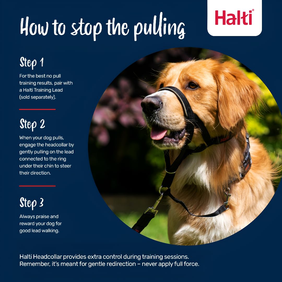 Halti Headcollar reflective accents boost visibility on evening routes.