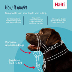 Halti Headcollar showing reflective accents for better night visibility.