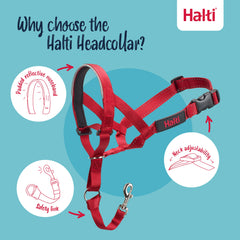 Halti Headcollar safety link attaches to your dog's collar for peace of mind.